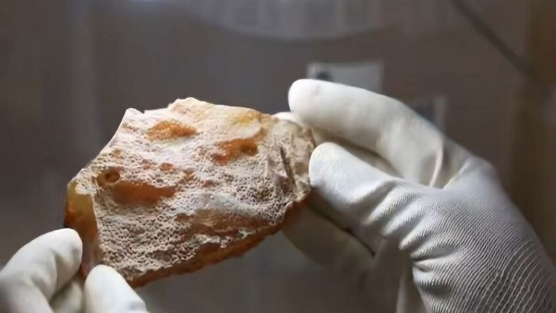 كهرمان كالينينغراد يسطّر رقما هو الأعلى في تاريخ روسيا