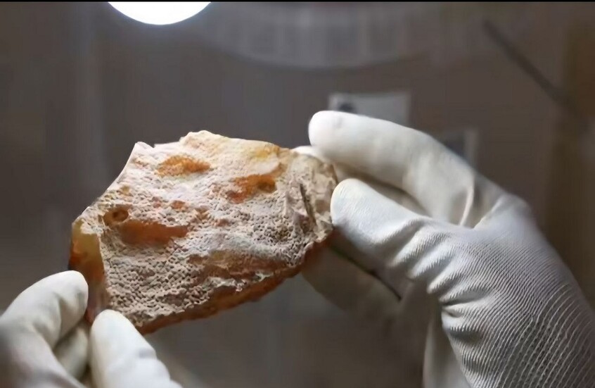 كهرمان كالينينغراد يسطّر رقما هو الأعلى في تاريخ روسيا