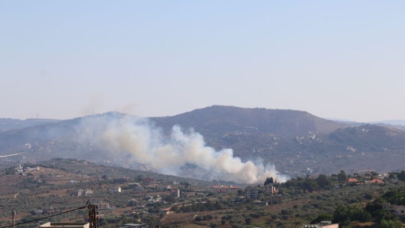 استهداف مسيرة إسرائيلية بلدة عيرتون في جنوب لبنان (فيديو)