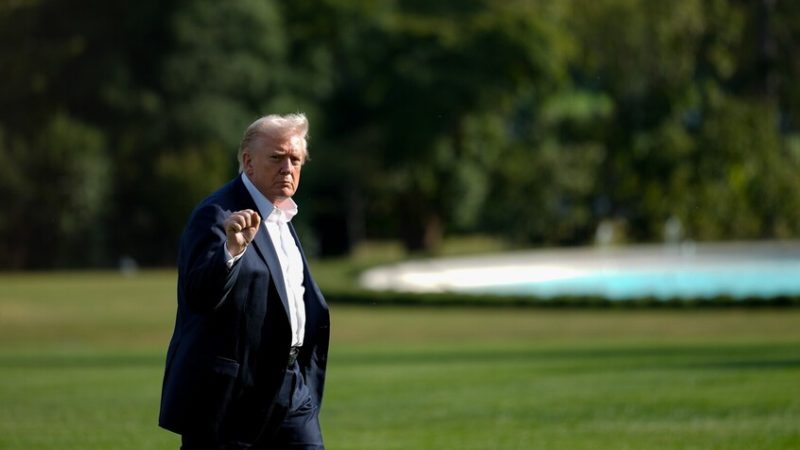 ارتفاع غير متوقع لأسهم شركات القنب بعد منشور لترامب