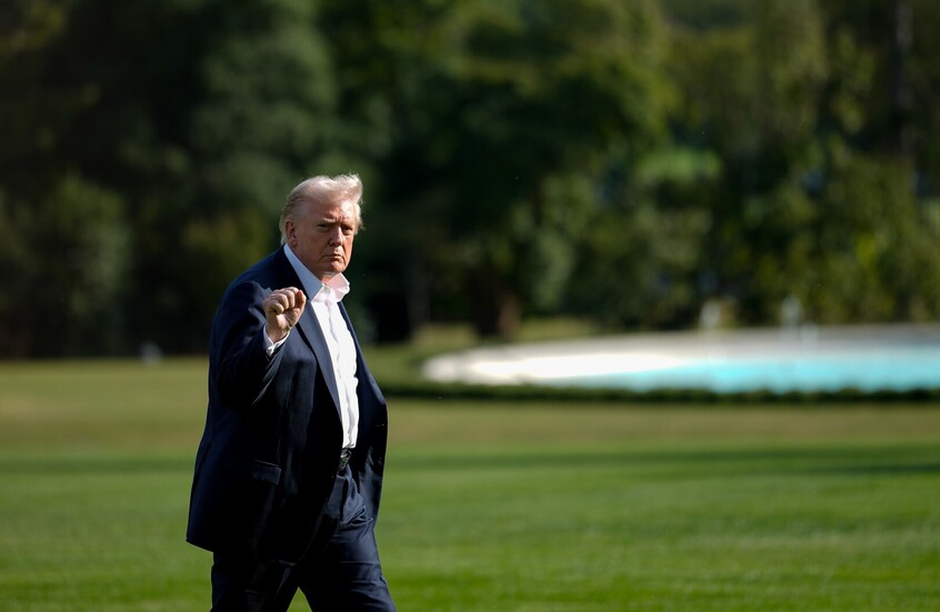 ارتفاع غير متوقع لأسهم شركات القنب بعد منشور لترامب