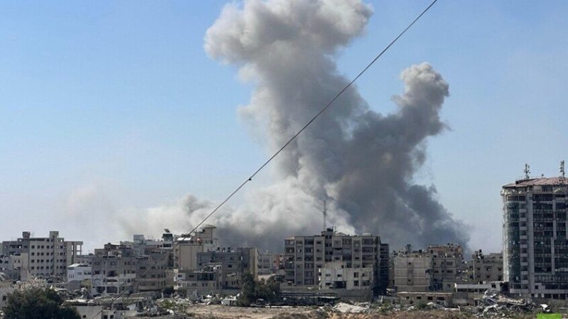 صحة غزة: 453 وفاة بسبب المجاعة وسوء التغذية بينها 150 طفلا (فيديوهات)