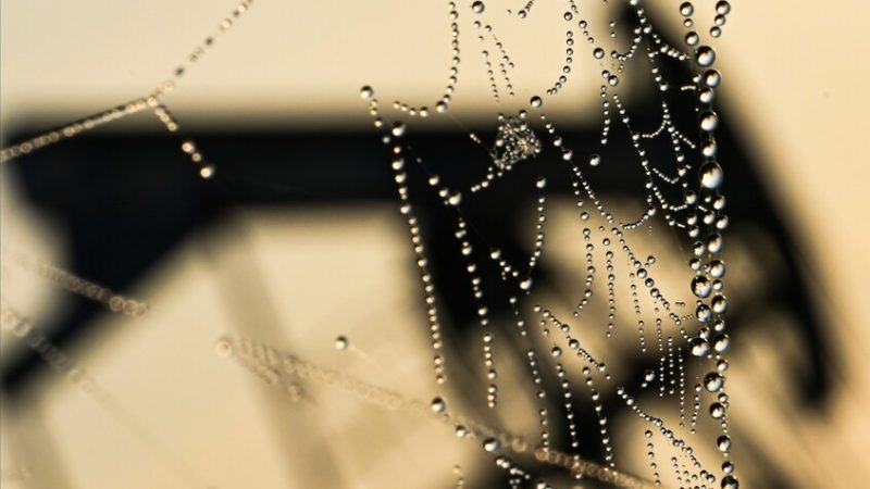 ارتفاع أسعار النفط بعد بيان من “أوبك”