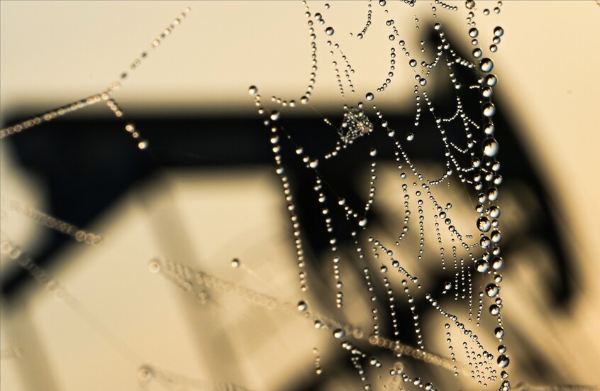 ارتفاع أسعار النفط بعد بيان من “أوبك”