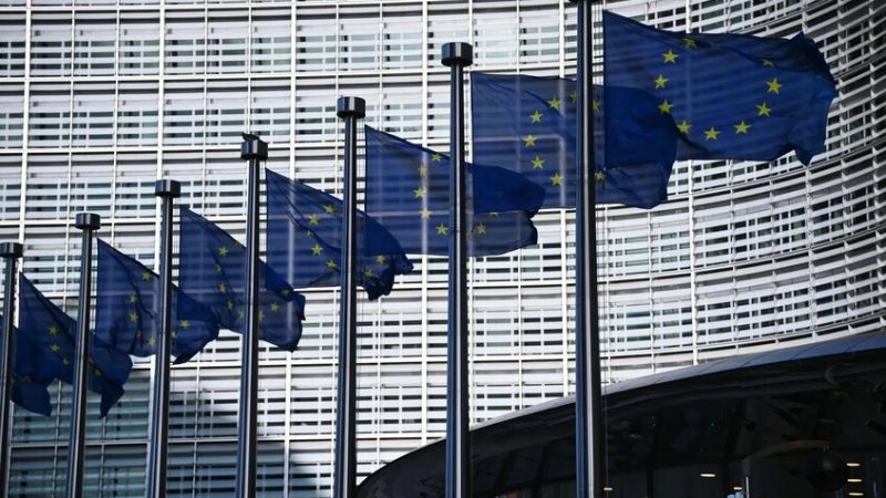 “بلومبرغ”: مشروع “جدار المسيرات” الأوروبي مهدد بأن يولد ميتا