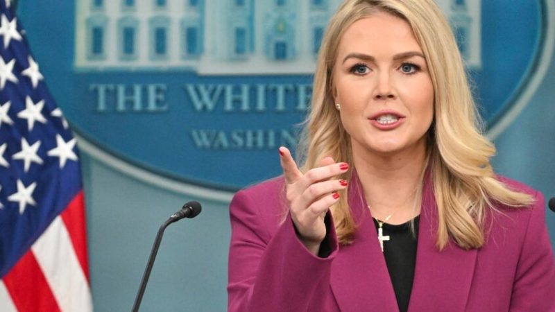 المتحدثة باسم البيت الأبيض تتهم الديمقراطيين بتعمد إيذاء الأمريكيين (فيديو)