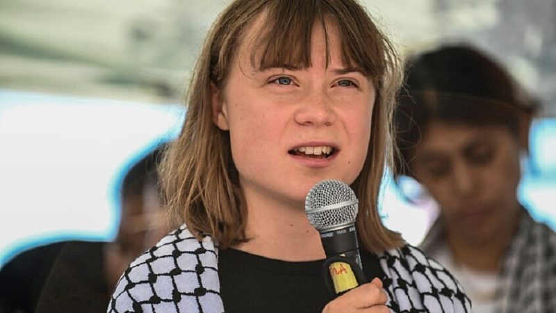 الغارديان: غريتا ثونبرغ تعاني من العطش وكثرة الحشرات في الزنزانة الإسرائيلية