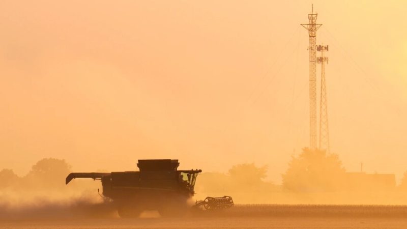 الولايات المتحدة.. خطة إنقاذ بـ10 مليارات دولار للمزارعين الأمريكيين بعد تراجع مشتريات الصين