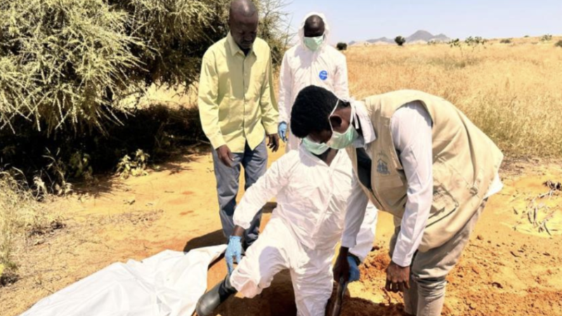 السودان.. “جثث على الطرقات”.. رحلة الموت من الفاشر إلى طويلة هربا من الجوع والرعب