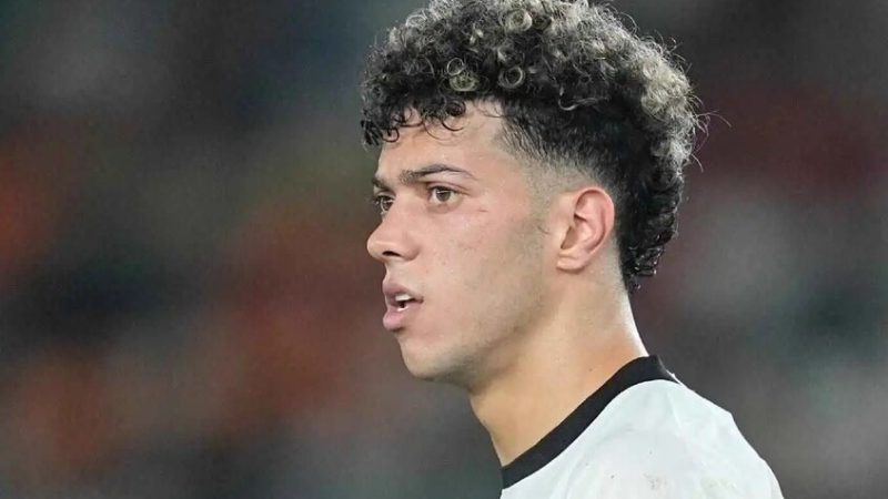 تطورات الحالية الصحية لإمام عاشور