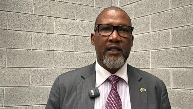 حفيد مانديلا يربط معاناة جنوب إفريقيا بالقضية الفلسطينية ويدين الهجوم على أسطول الصمود