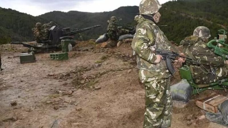 الجيش الجزائري يعلن تصفية إرهابي على الحدود مع تونس