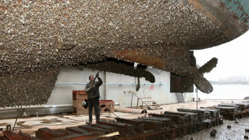 “فاينانشال تايمز”: رفض الاتحاد الأوروبي اعتماد طلاء مبتكر يهدد كفاءة السفن ويزيد استهلاك الوقود