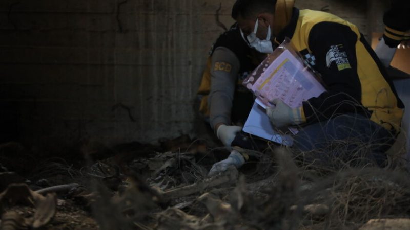 “تحريك الأرض”.. الكشف عن عملية سرية في صحراء سوريا لإخفاء معالم جريمة كبرى في عهد الأسد