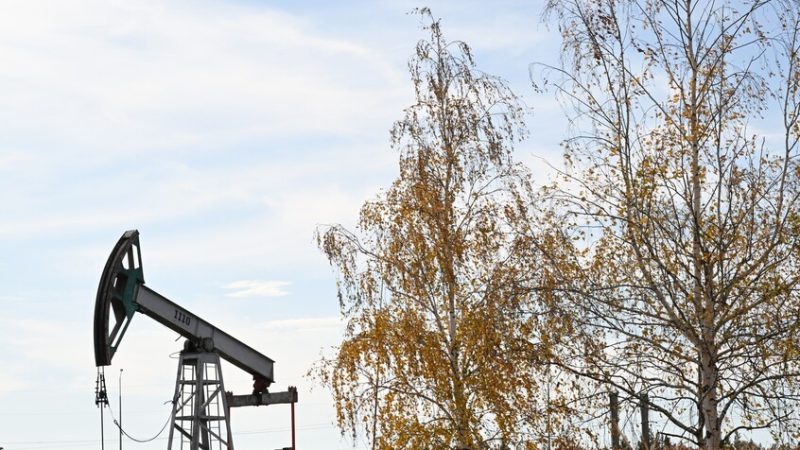 نوفاك: موارد الطاقة الروسية تحظى بطلب عالمي متزايد رغم الضغوط الأمريكية