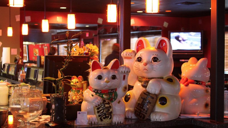 القطط المقدسة والشريرة!