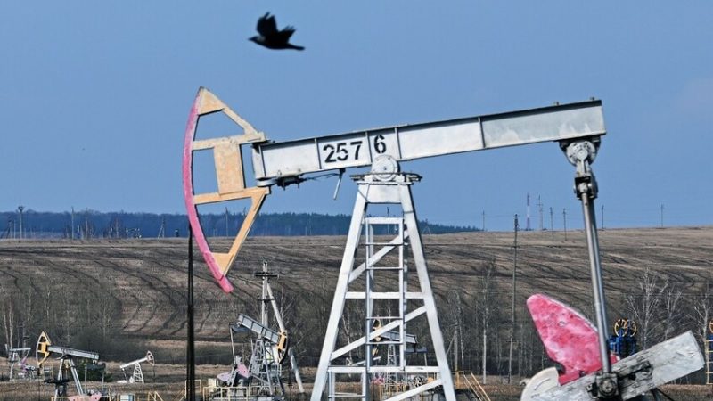 روسيا وطاجيكستان تناقشان إمكانية الاستثمار المشترك لحقول النفط