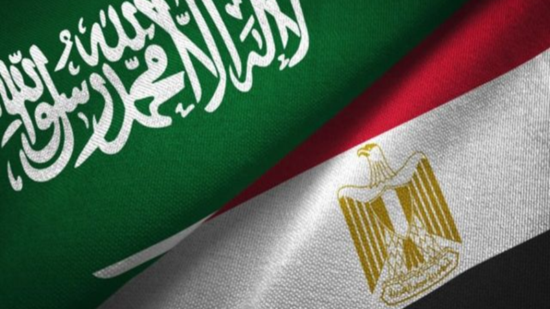 وزير مصري يثير تفاعلا بتصريحات عن منافسة السعودية