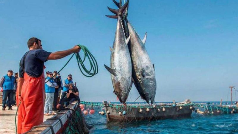 المغرب يوقع اتفاق صيد “متوازنا” مع روسيا