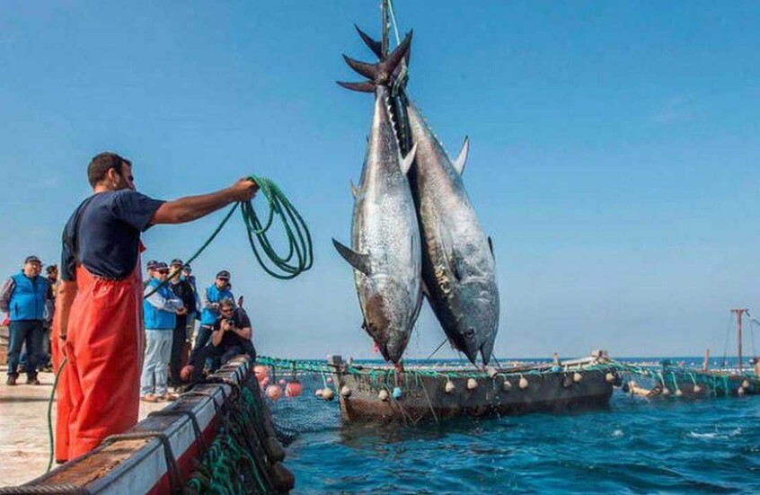 المغرب يوقع اتفاق صيد “متوازنا” مع روسيا