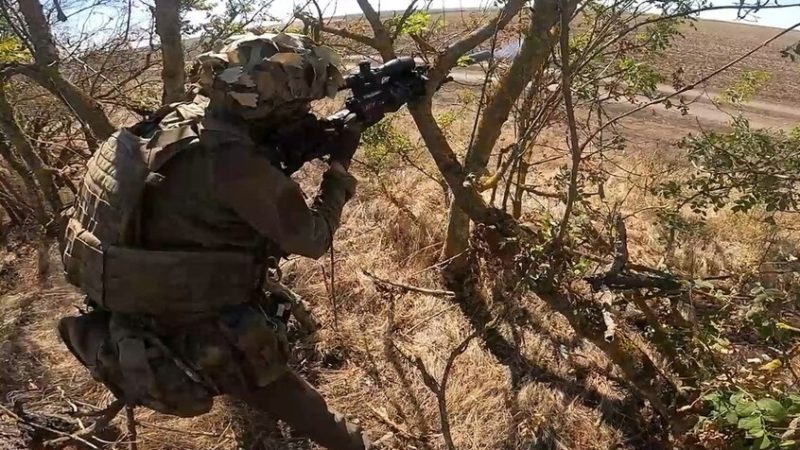 الدفاع الروسية: تحرير بلدتين في دونيتسك وزابوروجيه (فيديو)