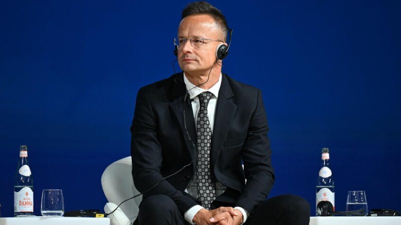 وزير خارجية هنغاريا يعارض مواصلة تقديم المساعدات العسكرية الأوروبية لأوكرانيا