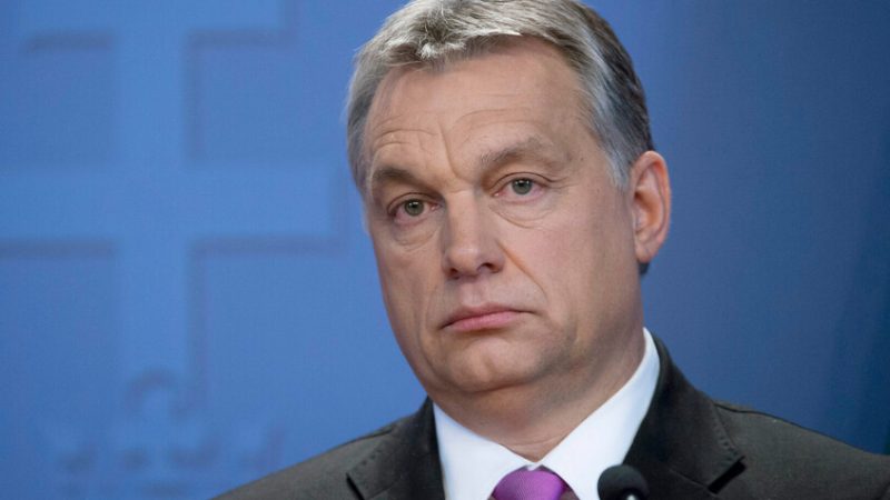 أوربان: لنجاح قمة بوتين – ترامب أهمية “وجودية” لهنغاريا