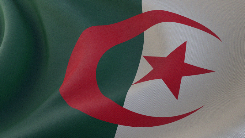 برلماني جزائري: بلادنا معنية بدخول شركات روسية إلى سوقها المحلية