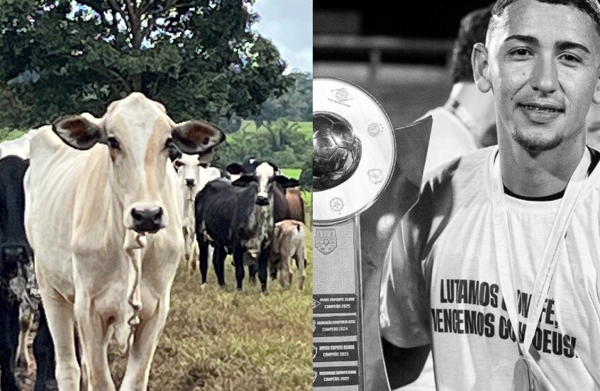 بالفيديو.. وفاة لاعب شاب بسبب بقرة