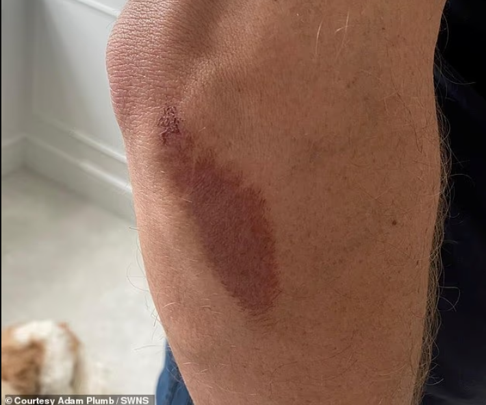 الوجه الحقيقي لـ”أرملة حرب” شهيرة.. مليونير بريطاني يسرب فيديو صادماً لسنوات من إساءة زوجته (فيديو)