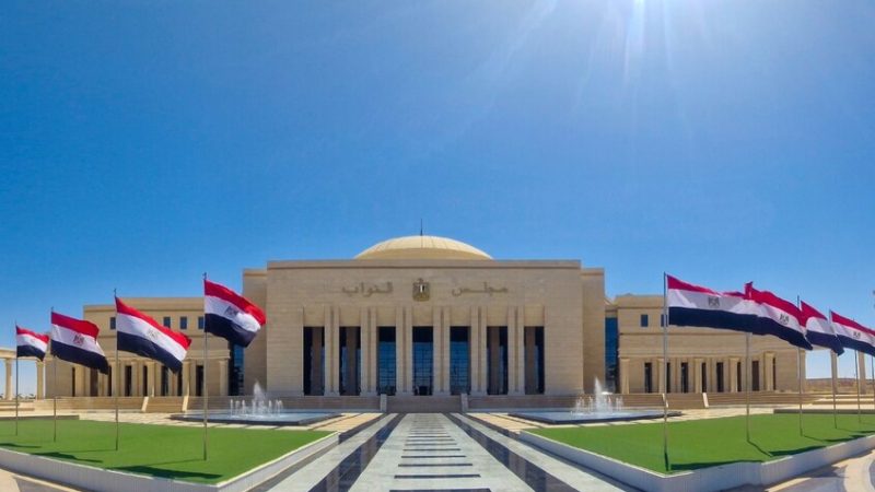 الإعلام المصري: فضيحة انتخابية في محافظة الفيوم