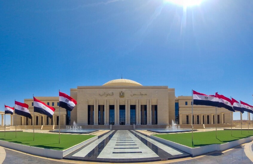 الإعلام المصري: فضيحة انتخابية في محافظة الفيوم