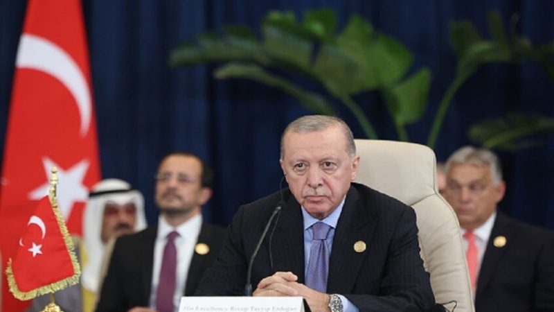 أردوغان: الوقت حان لوقف مبيعات الأسلحة لإسرائيل وإخضاعها للعقوبات