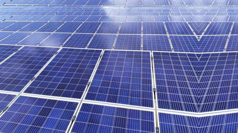 الإمارات تضع حجر الأساس لأكبر مشروع للطاقة الشمسية في العالم