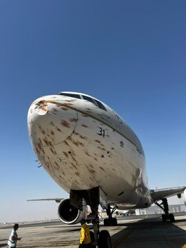 شاهد.. الخطوط السعودية تواجه مفاجئة غير سارة في أجواء الجزائر!