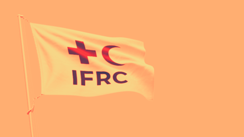 قوات الدعم السريع تنكل بموظفي الهلال الأحمر في إقليم دارفور بالسودان (فيديو)