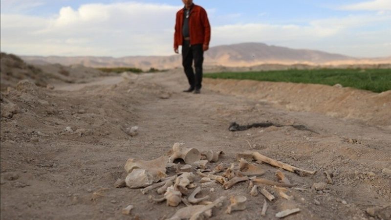 سوريا.. العثور على مقبرة جماعية في حي السحاري بدرعا