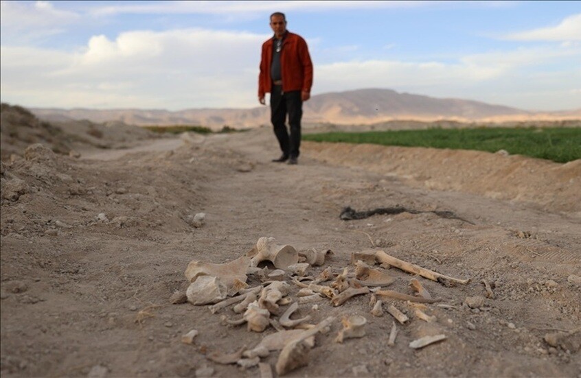 سوريا.. العثور على مقبرة جماعية في حي السحاري بدرعا