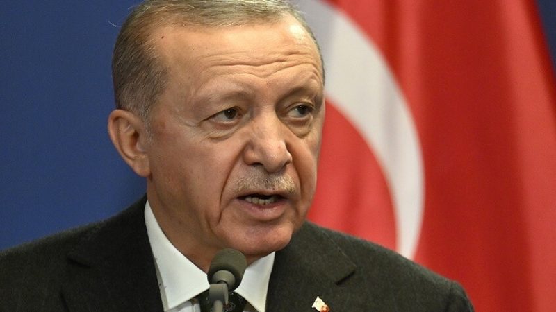 أردوغان: آمل بأن تتوصل روسيا وأوكرانيا قريبا إلى تسويات من أجل السلام