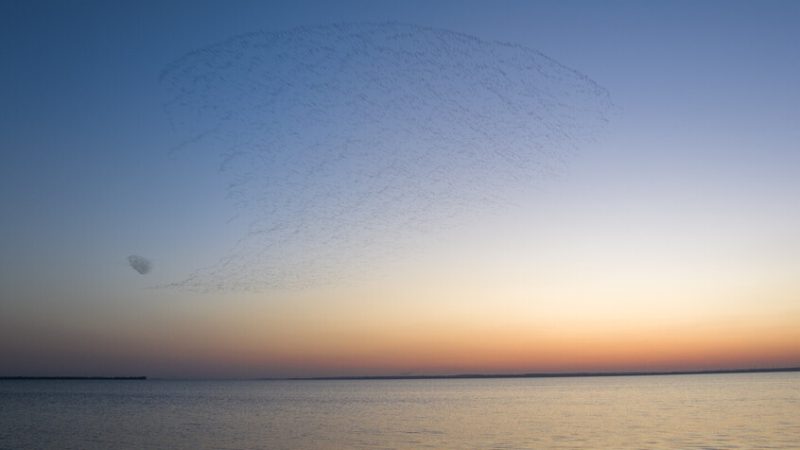 بوتين يحذر من أزمة المياه في العالم.. فما هي الدول الأكثر غنى بالمياه العذبة؟