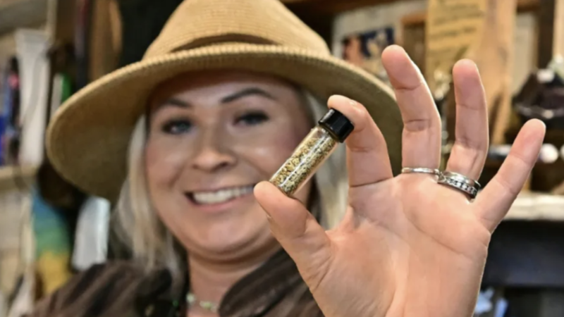 حمى الذهب تعود إلى كاليفورنيا مع الارتفاع القياسي في أسعار المعدن النفيس