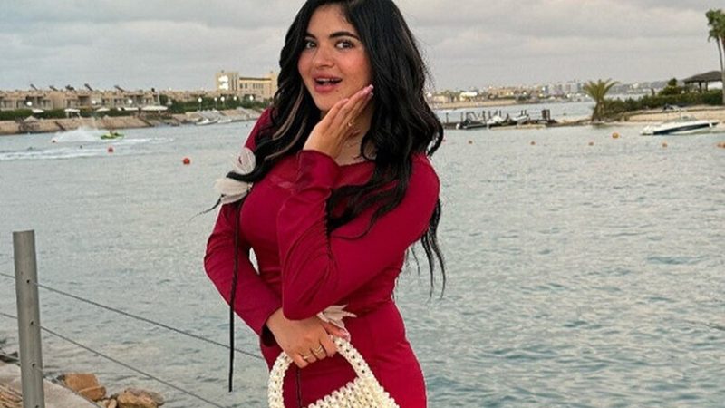 مصر.. أحكام قضائية مشددة بحق الـ”تيك توكر” سوزي الأردنية في حال ثبوت إدانتها بـ”غسل الأموال”