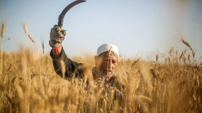 مصر تعلن تنفيذ مشروع ضخم لتأمين البلاد