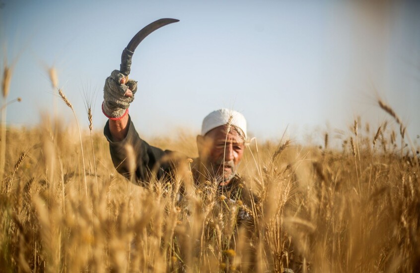 مصر تعلن تنفيذ مشروع ضخم لتأمين البلاد