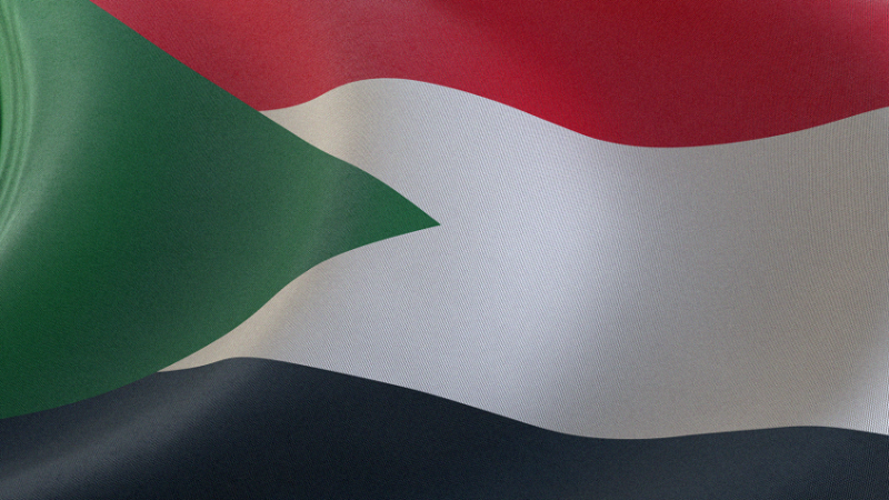 سياسي سوداني يتهم أوكرانيا ودولا غربية بتزويد المتمردين في بلاده بالأسلحة