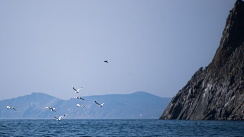 صاحب تصميم النفق بين تشوكوتكا وألاسكا يكشف تكلفة المشروع