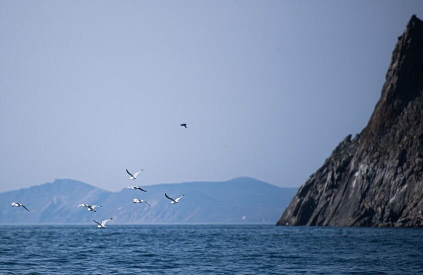 صاحب تصميم النفق بين تشوكوتكا وألاسكا يكشف تكلفة المشروع