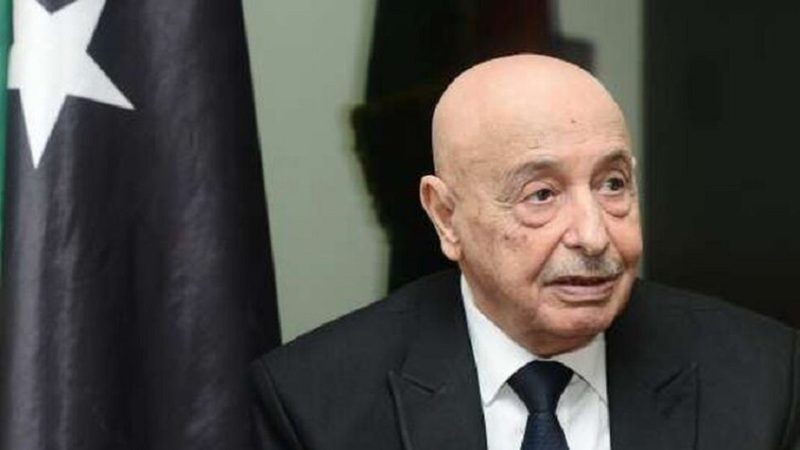 اشتباك سياسي جديد بين السلطتين التشريعية والتنفيذية في ليبيا حول صلاحيات القضاء