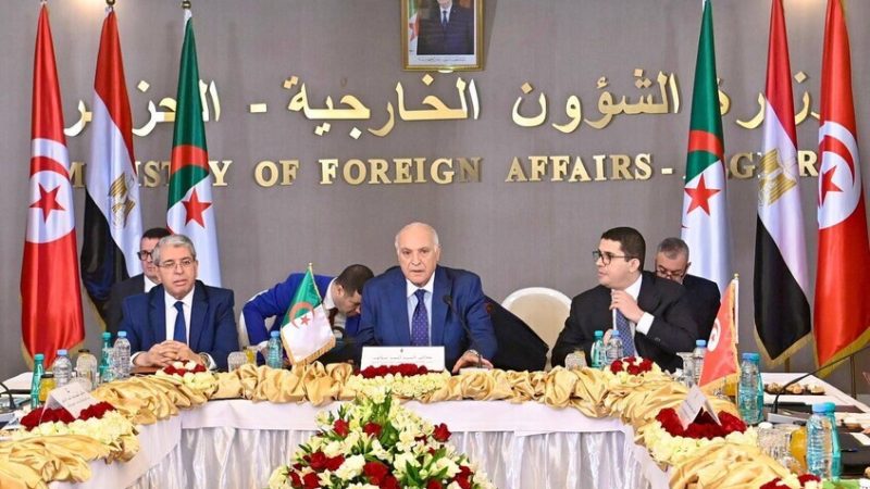 الجزائر ومصر وتونس تؤكد أولوية أن تكون العملية السياسية في ليبيا بقيادة ليبية (صور)