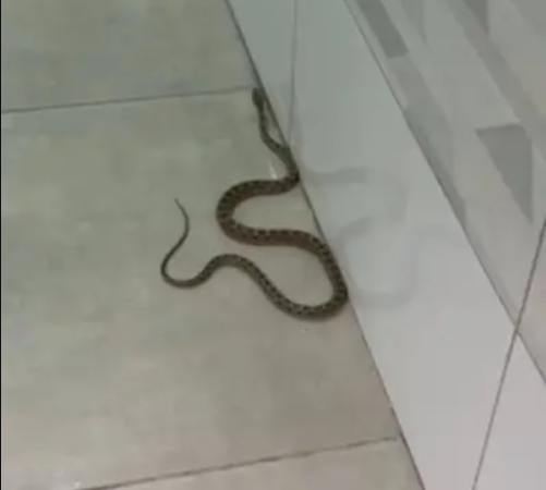 مدينة إسرائيلية تعيش في “فيلم رعب” (صور)